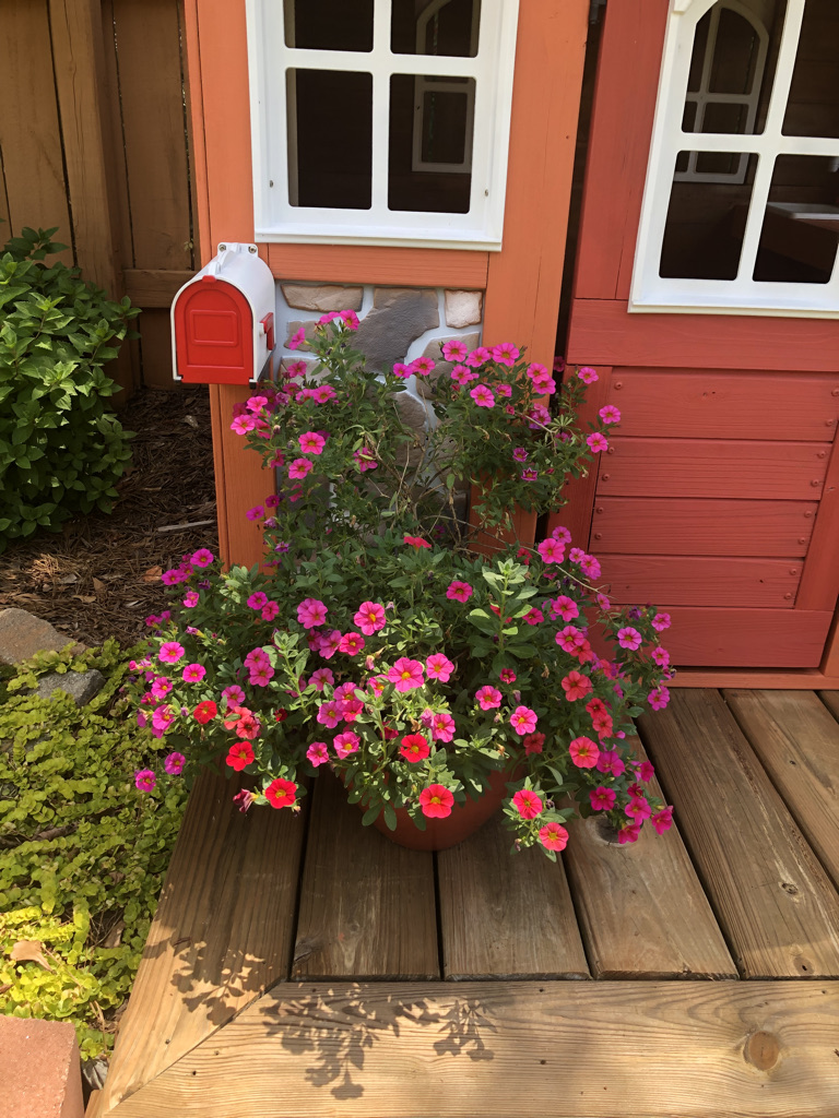 Garden Raised Beds gallery image 3
