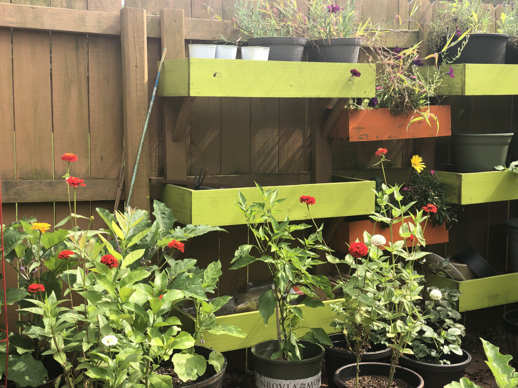 Garden Raised Beds gallery image 7