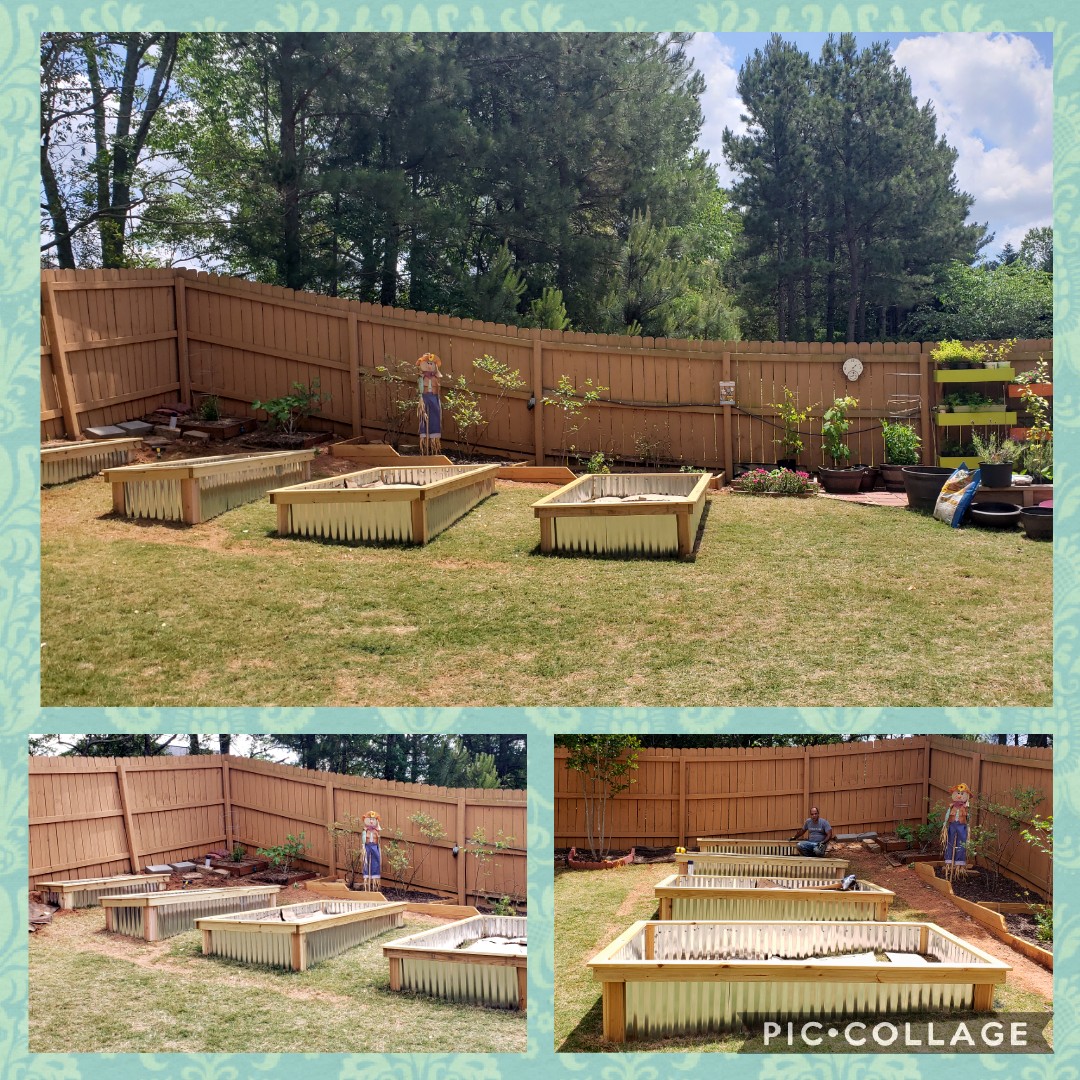 Garden Raised Beds gallery image 10